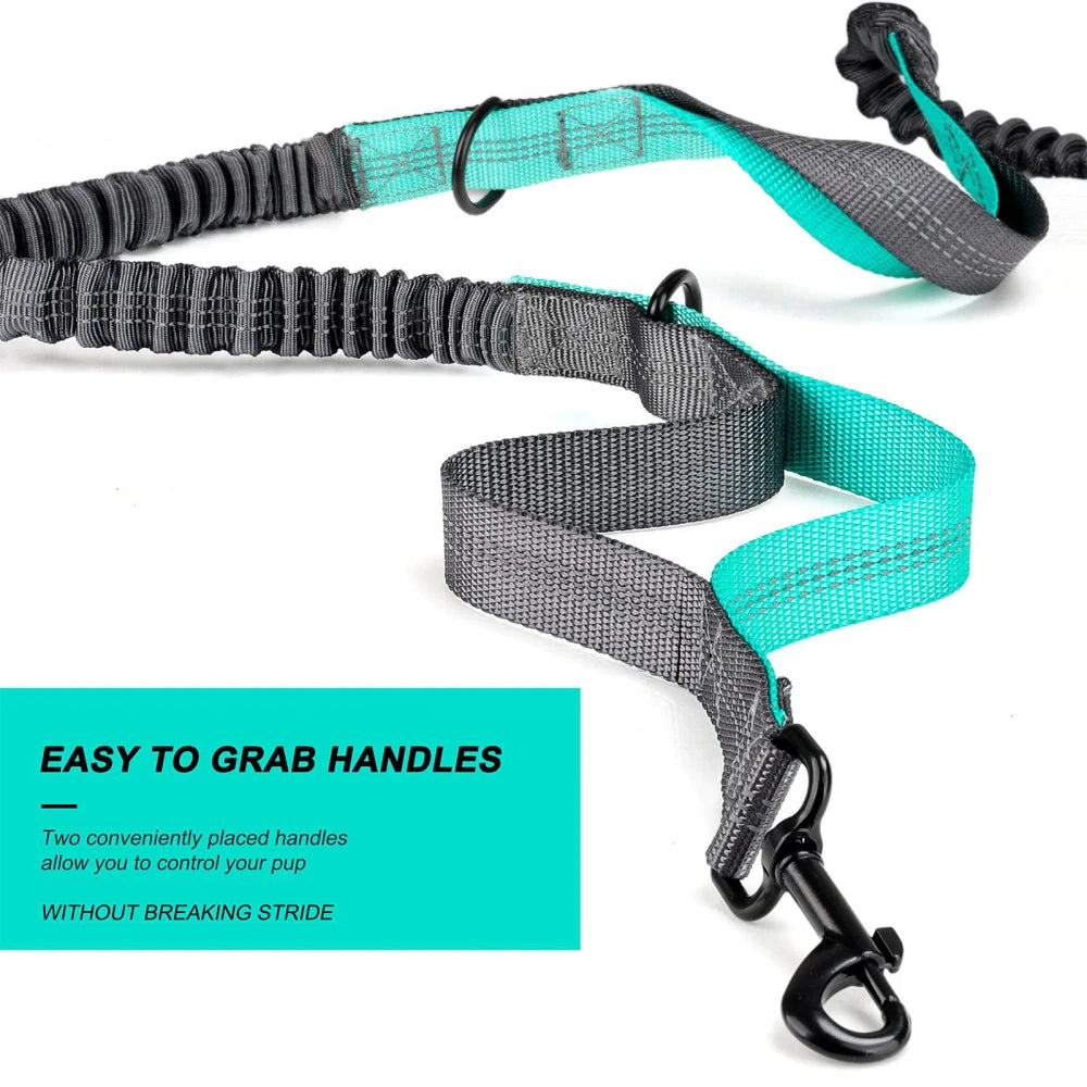 Hands Free Running Dog Leash Waist Pouch