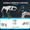 Intelligent Programmable AI Robot Dog